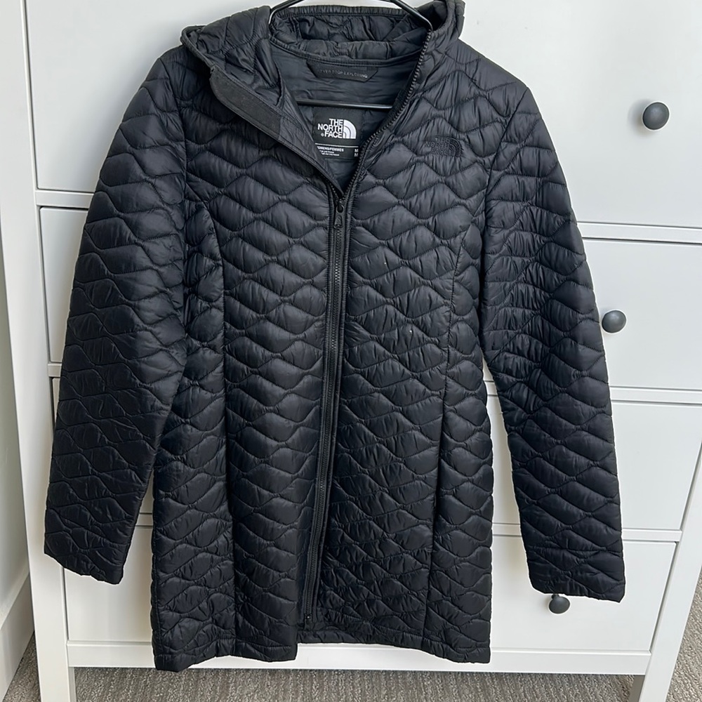 The North Face Quilted Parka